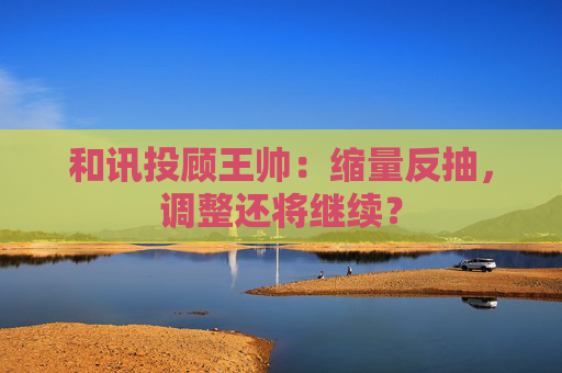 和讯投顾王帅：缩量反抽，调整还将继续？