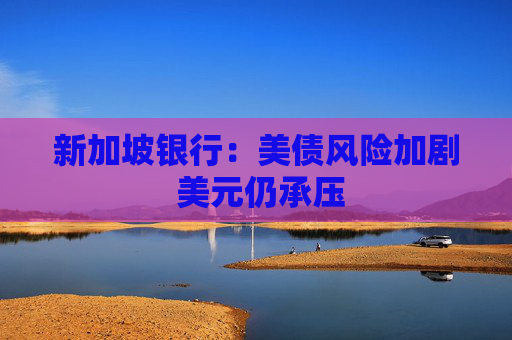 新加坡银行：美债风险加剧 美元仍承压