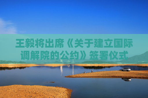 王毅将出席《关于建立国际调解院的公约》签署仪式