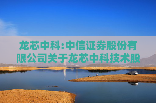 龙芯中科:中信证券股份有限公司关于龙芯中科技术股份有限公司2024年度持续督导跟踪报告