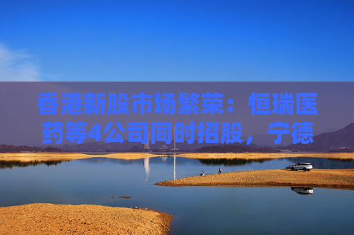 香港新股市场繁荣：恒瑞医药等4公司同时招股，宁德时代今日港交所上市