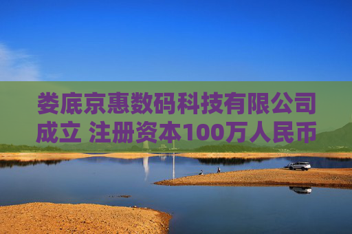娄底京惠数码科技有限公司成立 注册资本100万人民币