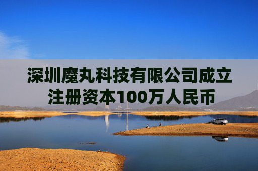 深圳魔丸科技有限公司成立 注册资本100万人民币