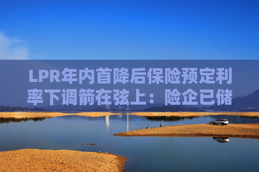 LPR年内首降后保险预定利率下调箭在弦上：险企已储备新品 长期险保费将迎新一轮上涨丨调研