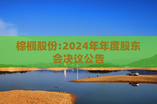 棕榈股份:2024年年度股东会决议公告