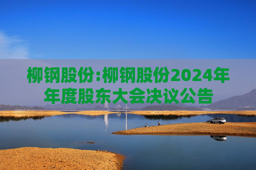 柳钢股份:柳钢股份2024年年度股东大会决议公告