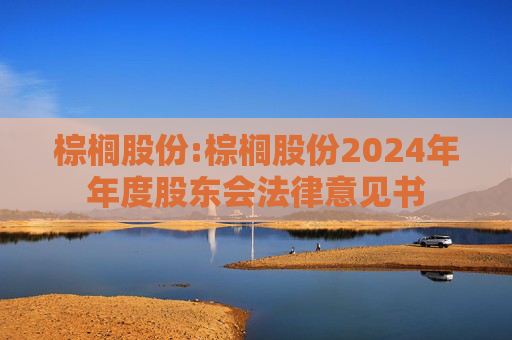 棕榈股份:棕榈股份2024年年度股东会法律意见书