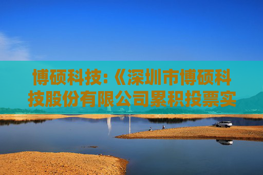 博硕科技:《深圳市博硕科技股份有限公司累积投票实施细则》（2025年5月）