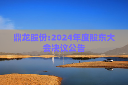 鼎龙股份:2024年度股东大会决议公告