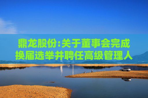 鼎龙股份:关于董事会完成换届选举并聘任高级管理人员、审计部负责人及证券事务代表的公告