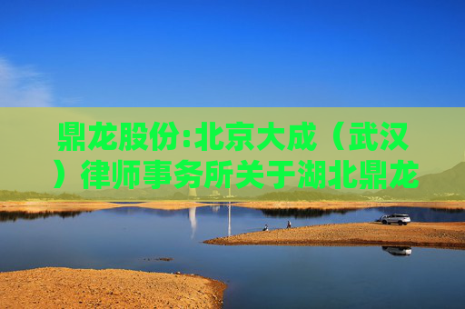 鼎龙股份:北京大成（武汉）律师事务所关于湖北鼎龙控股股份有限公司2024年年度股东大会的法律意见书