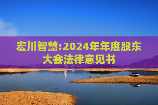 宏川智慧:2024年年度股东大会法律意见书