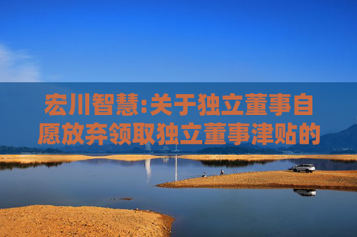 宏川智慧:关于独立董事自愿放弃领取独立董事津贴的公告