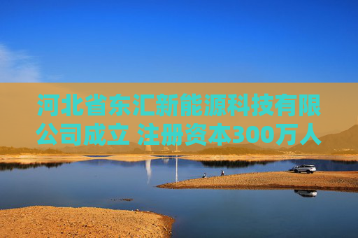 河北省东汇新能源科技有限公司成立 注册资本300万人民币