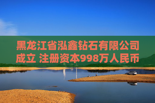 黑龙江省泓鑫钻石有限公司成立 注册资本998万人民币