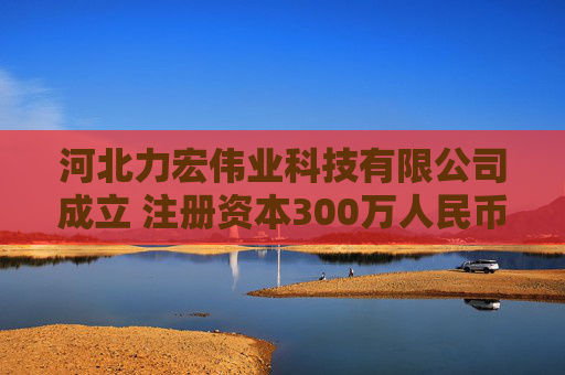 河北力宏伟业科技有限公司成立 注册资本300万人民币