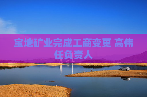宝地矿业完成工商变更 高伟任负责人