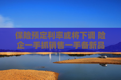 保险预定利率或将下调 险企一手抓销售一手备新品