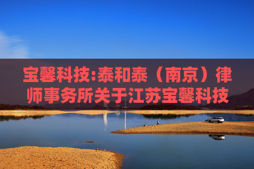 宝馨科技:泰和泰（南京）律师事务所关于江苏宝馨科技股份有限公司2024年年度股东大会的法律意见书