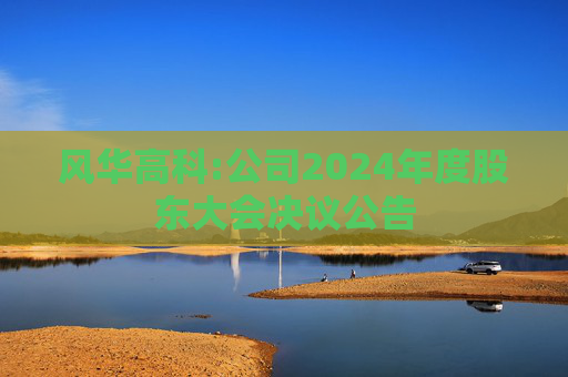 风华高科:公司2024年度股东大会决议公告
