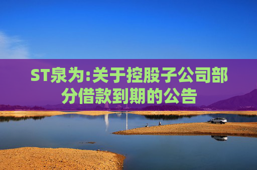 ST泉为:关于控股子公司部分借款到期的公告
