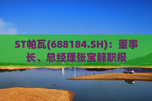 ST帕瓦(688184.SH)：董事长、总经理张宝辞职报