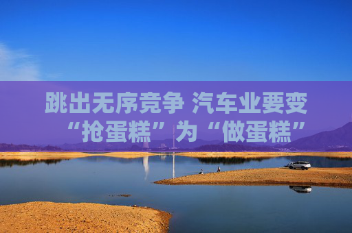跳出无序竞争 汽车业要变“抢蛋糕”为“做蛋糕”