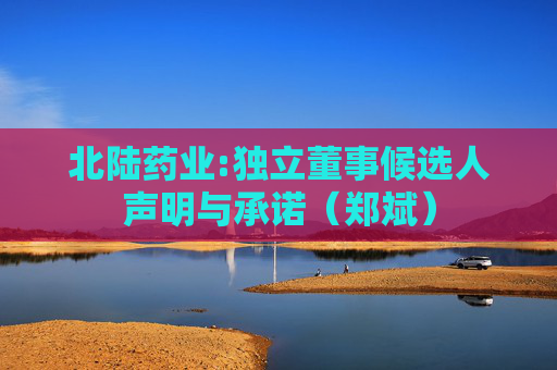北陆药业:独立董事候选人声明与承诺（郑斌）  第1张