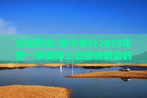 北陆药业:关于举行2025年第一季度网上业绩说明会的公告