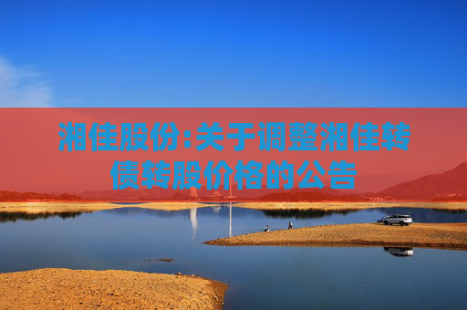 湘佳股份:关于调整湘佳转债转股价格的公告