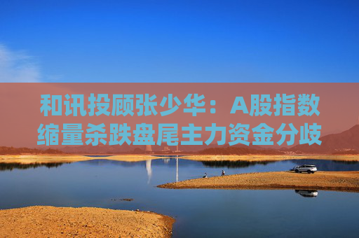 和讯投顾张少华：A股指数缩量杀跌盘尾主力资金分歧，明日市场怎么推演？