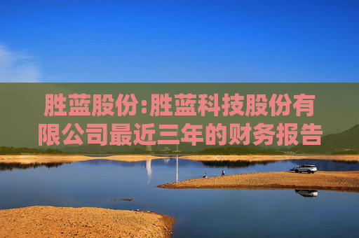 胜蓝股份:胜蓝科技股份有限公司最近三年的财务报告及其审计报告以及最近一期的财务报告