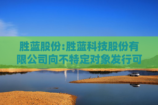 胜蓝股份:胜蓝科技股份有限公司向不特定对象发行可转换公司债券募集说明书（豁免版）（修订稿）（更新版）