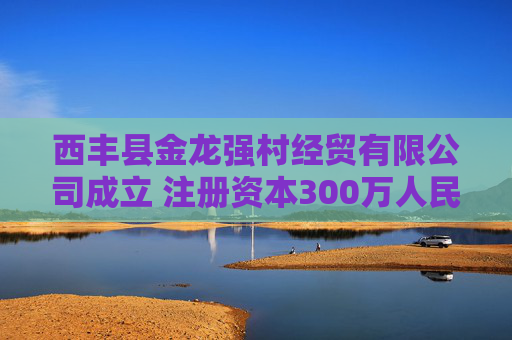 西丰县金龙强村经贸有限公司成立 注册资本300万人民币