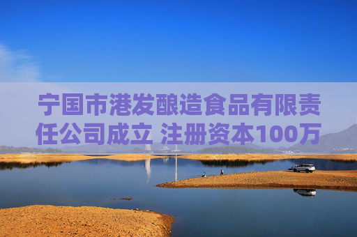 宁国市港发酿造食品有限责任公司成立 注册资本100万人民币