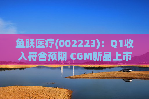 鱼跃医疗(002223)：Q1收入符合预期 CGM新品上市丰富增长动能