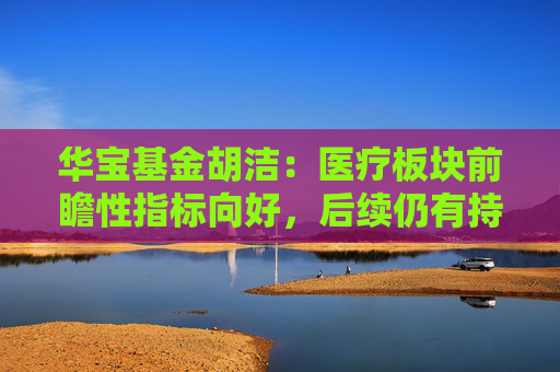 华宝基金胡洁：医疗板块前瞻性指标向好，后续仍有持续上涨动力