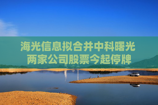 海光信息拟合并中科曙光 两家公司股票今起停牌