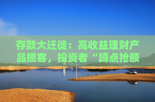 存款大迁徙：高收益理财产品揽客，投资者“蹲点抢额度”  第1张