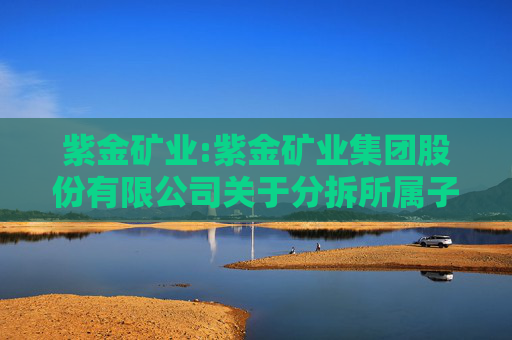 紫金矿业:紫金矿业集团股份有限公司关于分拆所属子公司紫金黄金国际有限公司至香港联交所上市的预案