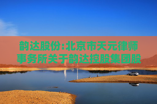 韵达股份:北京市天元律师事务所关于韵达控股集团股份有限公司2024年年度股东会的法律意见  第1张