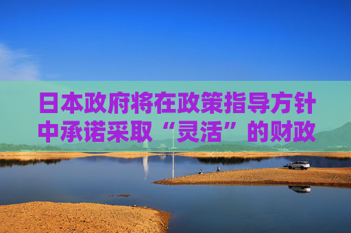 日本政府将在政策指导方针中承诺采取“灵活”的财政行动  第1张