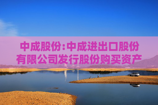 中成股份:中成进出口股份有限公司发行股份购买资产并募集配套资金暨关联交易预案