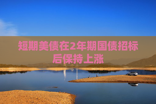 短期美债在2年期国债招标后保持上涨  第1张