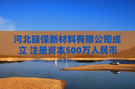 河北硅保新材料有限公司成立 注册资本500万人民币