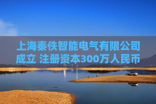 上海秦佚智能电气有限公司成立 注册资本300万人民币