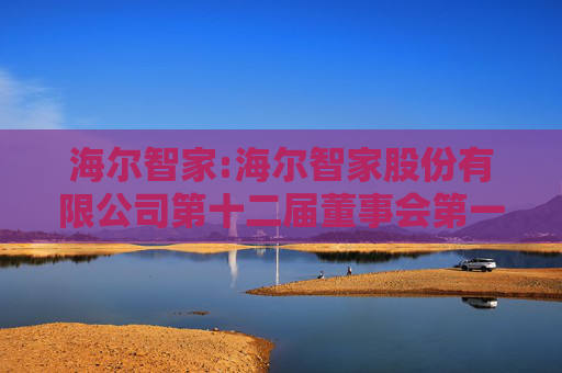 海尔智家:海尔智家股份有限公司第十二届董事会第一次会议决议公告