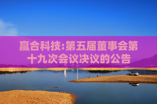 赢合科技:第五届董事会第十九次会议决议的公告