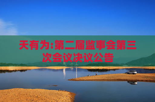 天有为:第二届监事会第三次会议决议公告