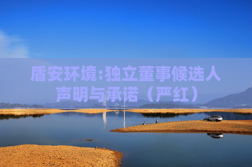 盾安环境:独立董事候选人声明与承诺（严红）